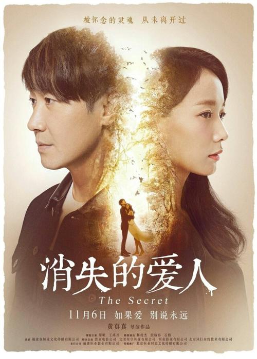 怎么办假新加坡护照